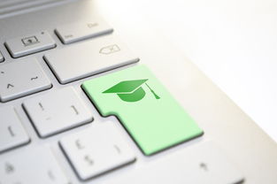 連接智能未來 計(jì)算機(jī)網(wǎng)絡(luò)技術(shù)的核心價(jià)值與行業(yè)應(yīng)用